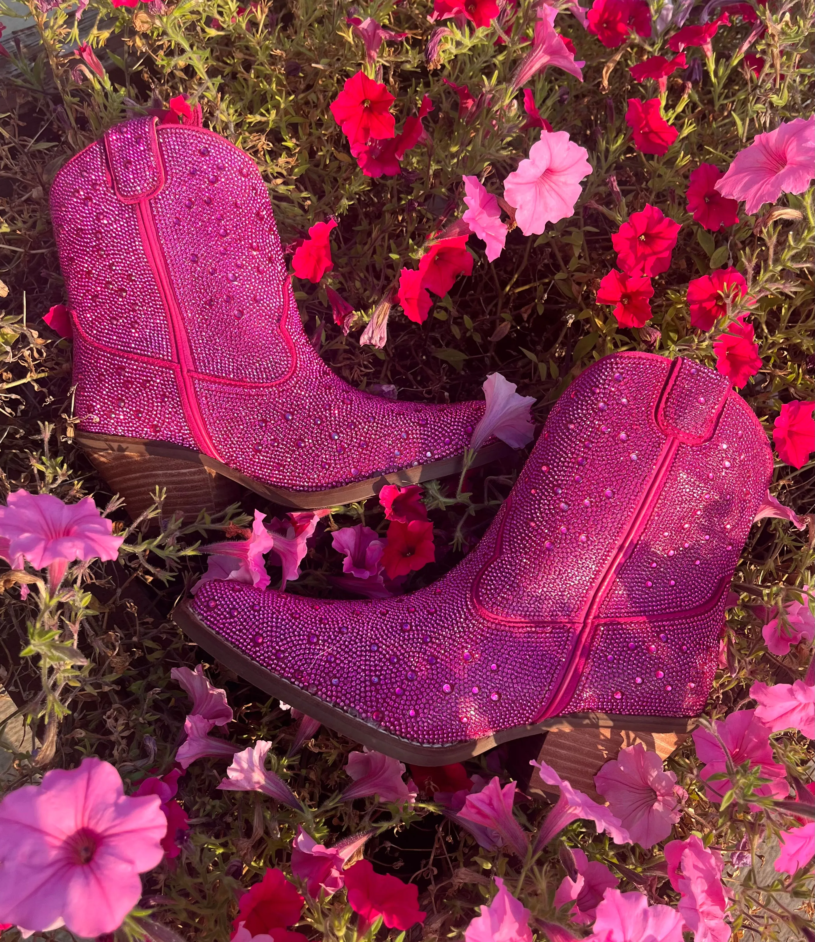 Dingo Fuchsia Rhinestone Cowgirl Ankle Boots - Women's DI577-PNK