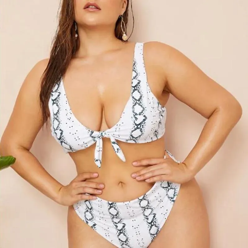 Snake Print High-Waisted Bikini Set