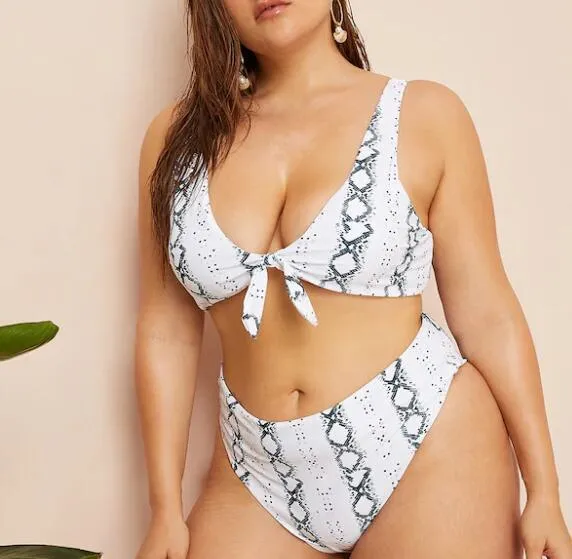 Snake Print High-Waisted Bikini Set